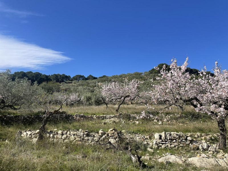 Foto 2546abc2-33b6-4543-9e59-f8d1a2ea7f1f. Masia a Roques Daurades-L´Estany Ametlla de Mar (L´)