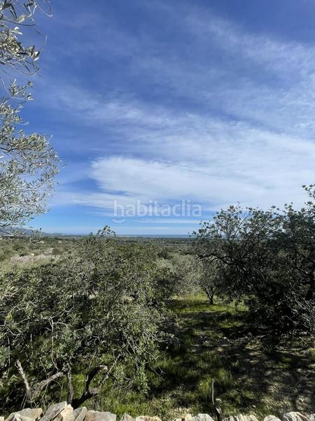 Foto 5b448ee4-7f7a-4872-b273-8afc3ee81aa2. Masia a Roques Daurades-L´Estany Ametlla de Mar (L´)