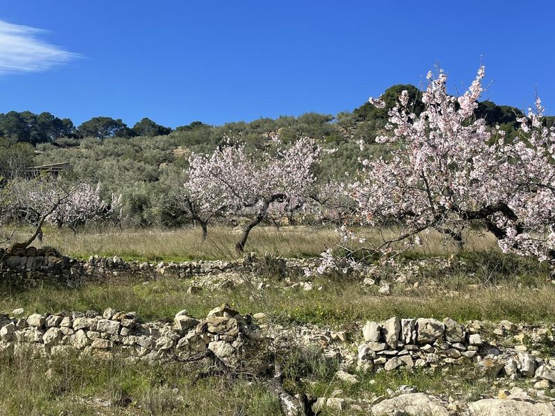 Foto 6ad220c0-fcc7-4b90-9bac-6047f6e9d055. Masia a Roques Daurades-L´Estany Ametlla de Mar (L´)