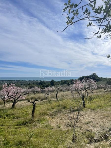 Foto 8a7d9002-cac4-4f43-904f-ed5c475b3b34. Masia a Roques Daurades-L´Estany Ametlla de Mar (L´)