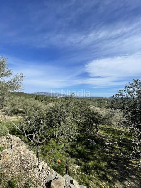 Foto d2c079a6-3bb6-4b44-8f0c-77a447589a43. Masia a Roques Daurades-L´Estany Ametlla de Mar (L´)