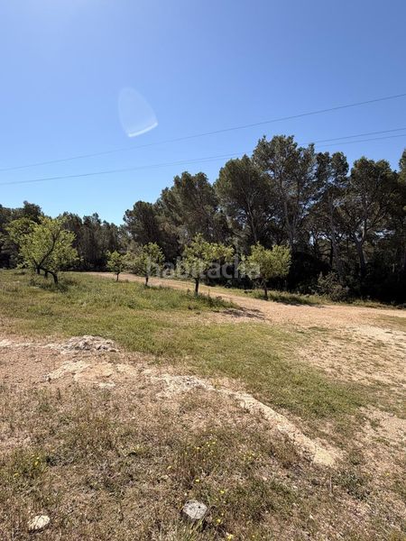 Foto 3d0d337d-de18-4535-946d-f4c6561ac6ee. Masia a Roques Daurades-L´Estany Ametlla de Mar (L´)