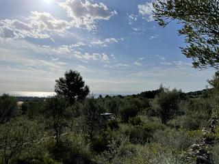 Residential Plot  Puig molto. Terreno rústico con vista al mar