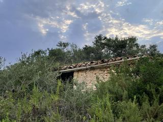Finca rústica  Comes. Finca de 4,4ha en bassa de les comes el perelló