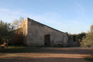 Masia  Burga. Finca rústica con masía a reformar y agua corriente cultivo oliv