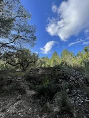 Residential Plot  Bassa nadell. Finca rústica con 5 ha y agua de pozo propio.