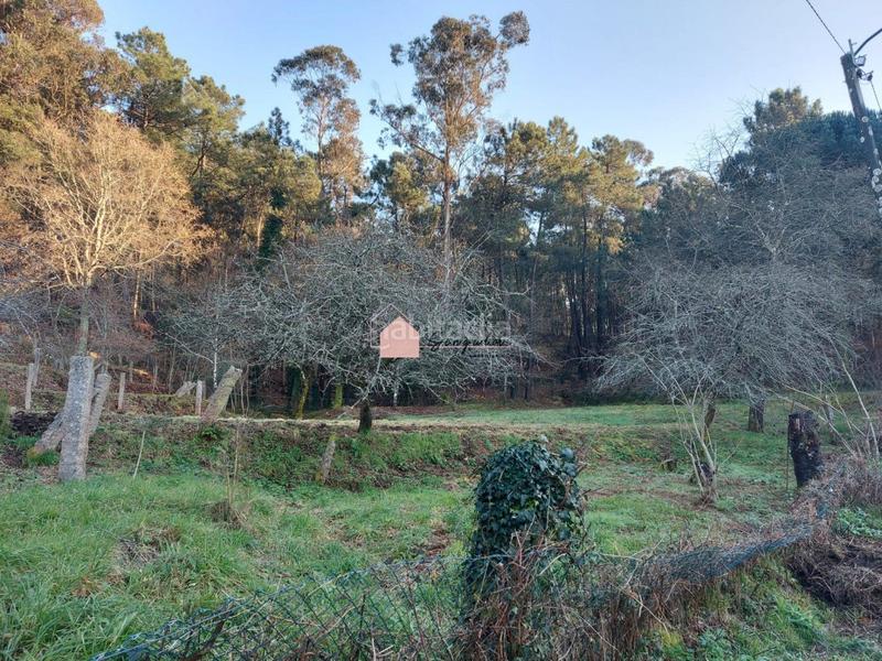 Foto 1fb23ddc-13c8-4aed-825e-dc9167317567. Wohngrundstück in Mos