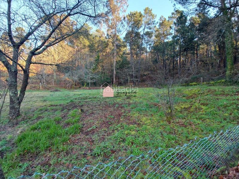 Foto bae2bb42-c07a-4336-a4ad-16ee952624c5. Wohngrundstück in Mos