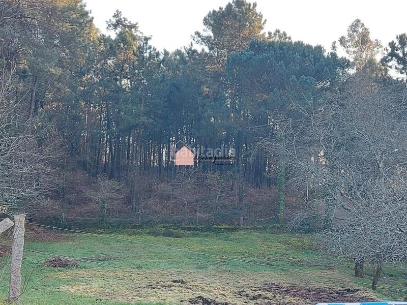 Foto d9b1a117-e79c-4a97-a5f7-d94d04e36e2e. Wohngrundstück in Mos