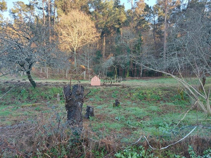 Foto de49e620-7c68-4daf-9c99-abb670efeb31. Wohngrundstück in Mos