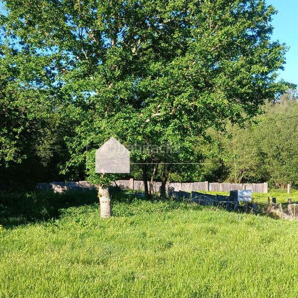 Foto a3c7e0e4-1d5d-44f8-a98b-66e1c2d47f80. Terreno residenziale in Mos