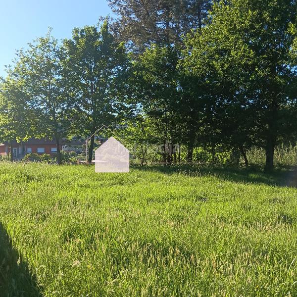 Foto ec8a95c1-cd8e-4f80-a8a8-3e085ad00549. Terreno residenziale in Mos