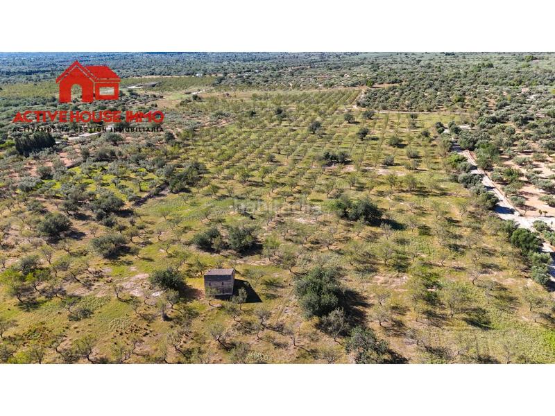 Foto 00d3a41b-f72c-4375-a2ac-2346beb8cfe8. Propriété dans carretera del puerto 0 dans Roquetes