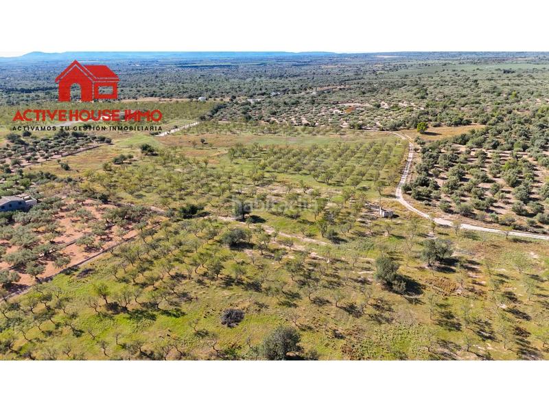 Foto 0a33ca19-1dd7-42c0-aaf3-f57cfca06aaa. Propriété dans carretera del puerto 0 dans Roquetes