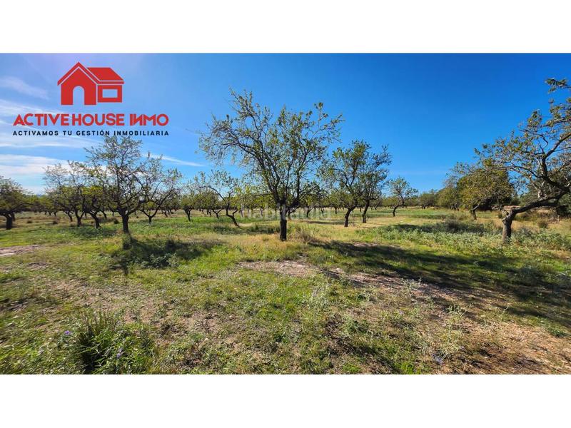 Foto 24677847-f0b9-40ad-9021-b29d85400f22. Propriété dans carretera del puerto 0 dans Roquetes