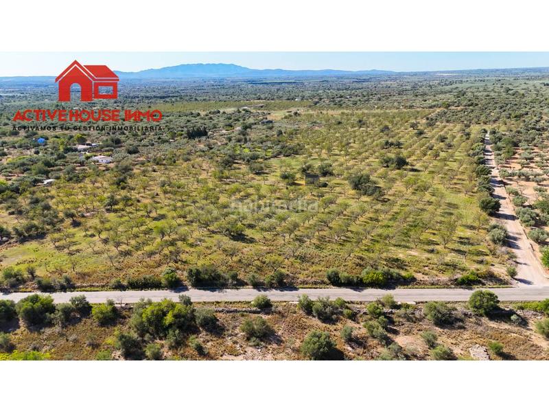 Foto 3894c244-a749-47a3-844e-b9f377c5192d. Propriété dans carretera del puerto 0 dans Roquetes