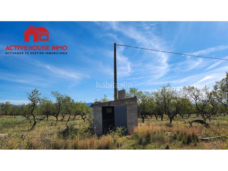 Foto 8bd9797c-ac0c-4604-bbbf-71db238a257f. Propriété dans carretera del puerto 0 dans Roquetes