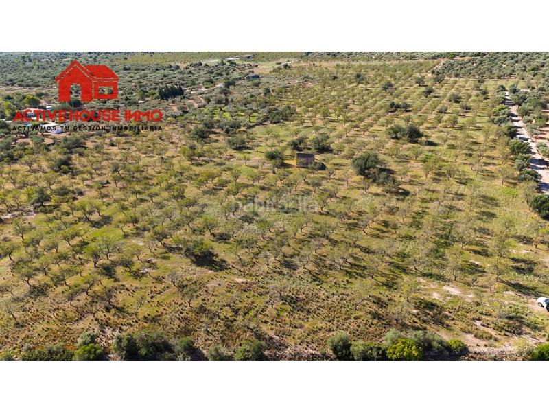 Foto 9a8e4f54-15aa-4288-bc2b-1d95aa562800. Propriété dans carretera del puerto 0 dans Roquetes