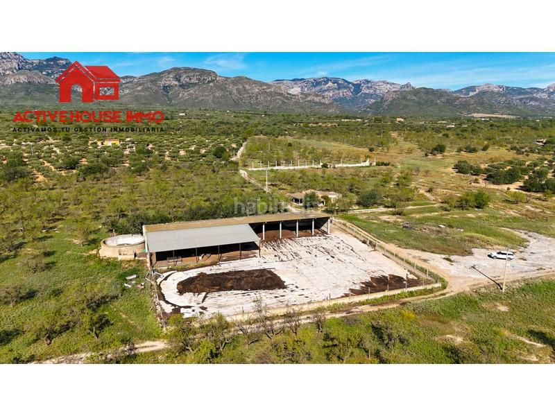 Foto d16d5c5d-178b-40ce-98bb-69b83ced859b. Propriété dans carretera del puerto 0 dans Roquetes