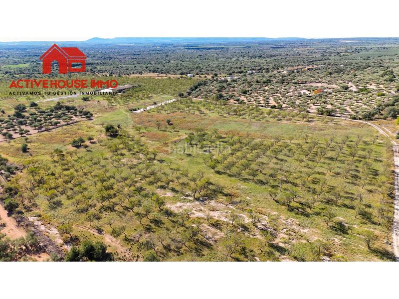 Foto d5e3c02d-84d7-4f16-82ed-daafc36d7862. Propriété dans carretera del puerto 0 dans Roquetes