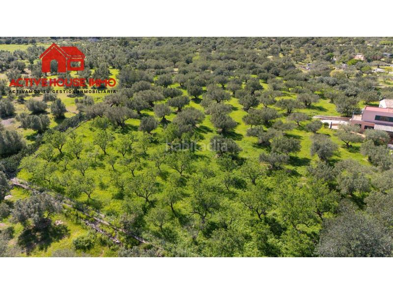 Foto 7cc2b8cd-321b-49f5-8000-0b40a4e05d63. Masía en port 1 chalet rustico en venta en Roquetes