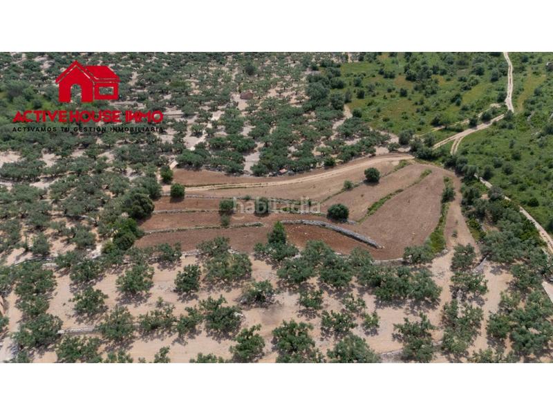 Foto 1336fce4-18ce-4b30-bdea-9e096a953238. Finca rústica a 6 103 a Mas de Barberans