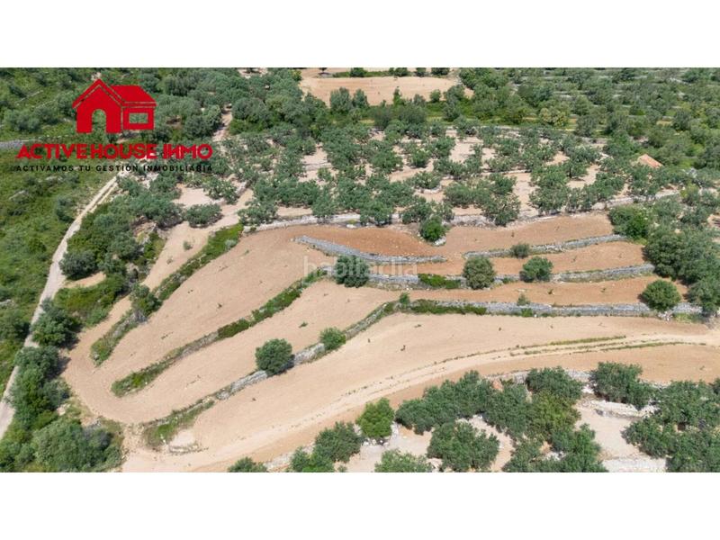 Foto 3061d9bb-1be4-412d-9b8c-2e3b7654444d. Finca rústica a 6 103 a Mas de Barberans