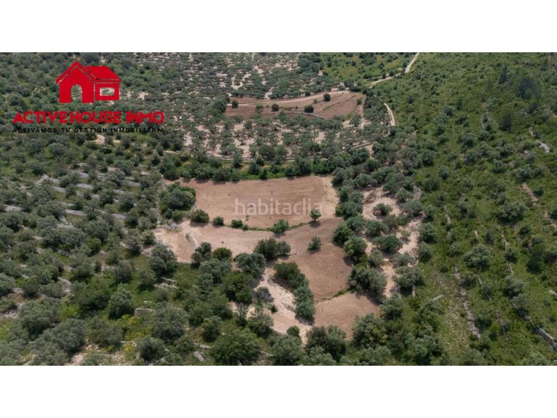 Foto 64f90c45-506a-44ad-9ea9-956131fa397a. Finca rústica a 6 103 a Mas de Barberans