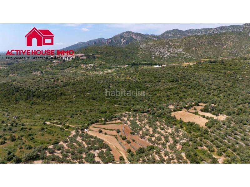 Foto 99fdca3e-8d53-43e8-a094-5bfe2e745f64. Finca rústica a 6 103 a Mas de Barberans