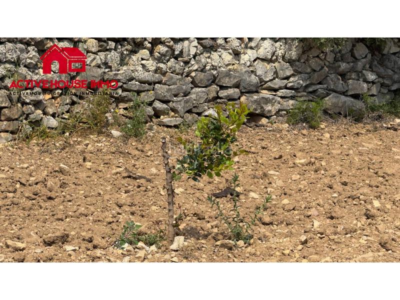 Foto aa2f2e38-6a24-463c-9121-9647c1f54116. Finca rústica a 6 103 a Mas de Barberans