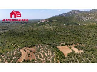 Rural plot in 6 103. Finca rustica  de 6 jornales en venta en mas de barberans