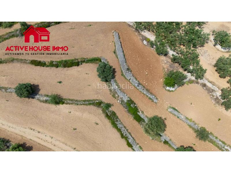 Foto e771867d-7e54-46c6-ad6d-e56faa842baa. Finca rústica a 6 103 a Mas de Barberans