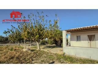 Fondo rustico  Sant carles de la ràpita a poblenou del delta. Venta de finca rústica en poble nou del deltaeucaliptus, amposta