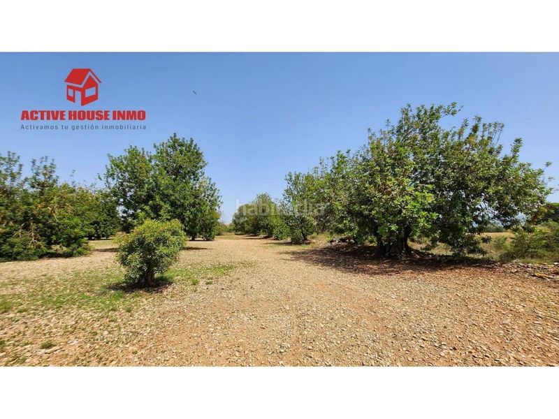 Foto 3ae3d370-54ba-4b81-99c7-bd7093b5f150. Finca rústica a Santa Bàrbara