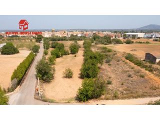 Fondo rustico  Calle reis católics. Rústica de algarrobos en santa bàrbara