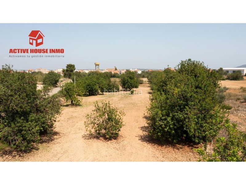 Foto 723a1105-c6c6-498f-8fd6-2e30979cc831. Finca rústica a Santa Bàrbara