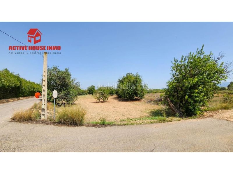 Foto 80b89598-9fe0-43fa-a71e-82fa111ce0b1. Finca rústica a Santa Bàrbara