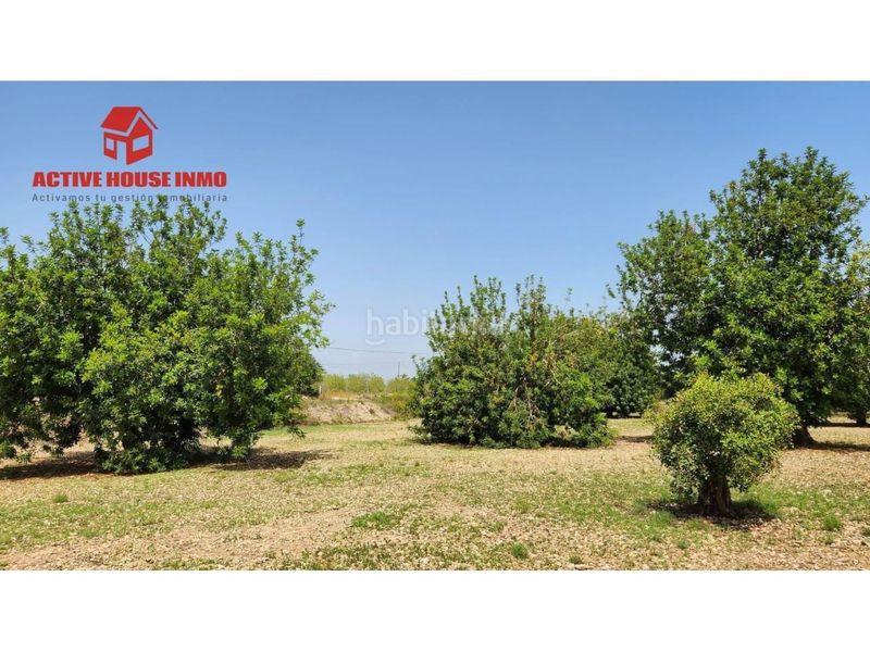 Foto bf6e81a7-a07a-4a49-9481-0c9f975cd197. Finca rústica a Santa Bàrbara