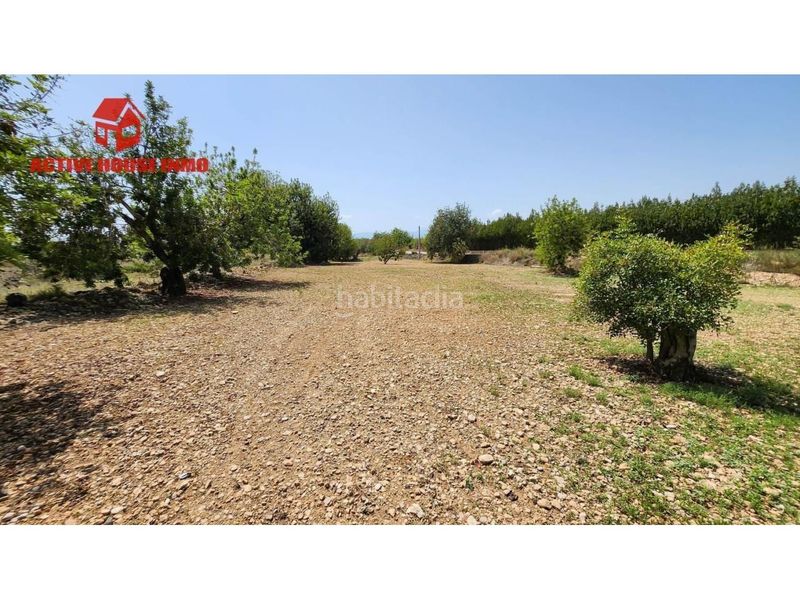 Foto d5a1012f-5899-444f-9449-478c98ae1ae3. Finca rústica a Santa Bàrbara