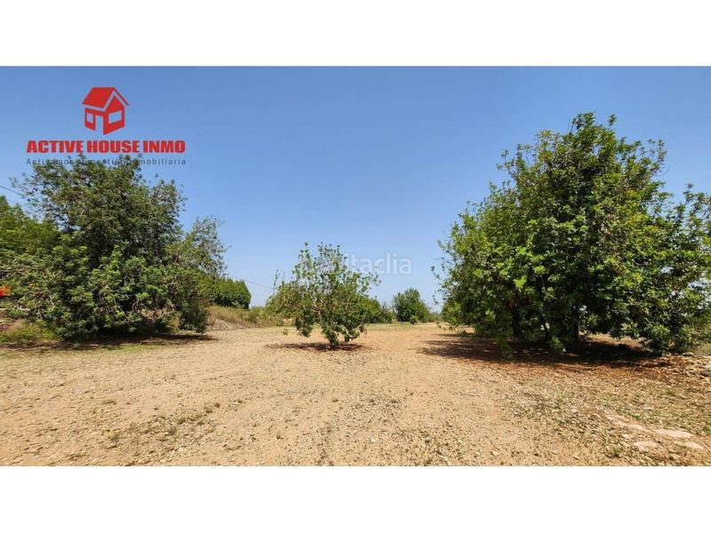 Foto e17f7b07-b5f9-4c51-8781-7c14a9856099. Finca rústica a Santa Bàrbara
