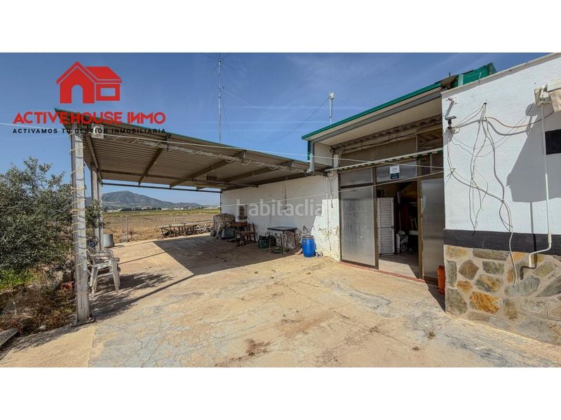 Foto 024a1208-1f93-4df9-bc50-d897ce6a5810. Masia a Eucaliptus - Poble Nou del Delta Amposta