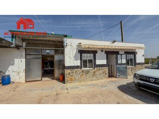 Country house  Calle sèquia de la figuerola dreta. Venta de finca rústica en amposta, poble nou del deltaeucaliptus