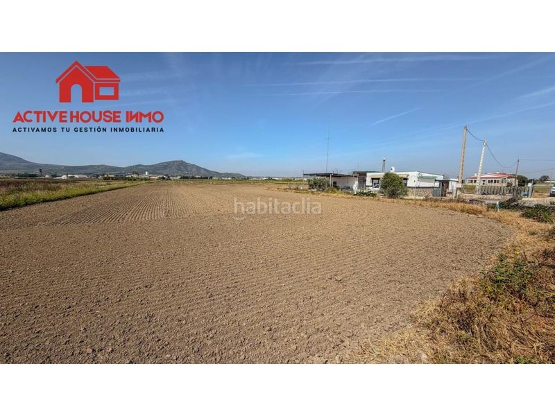 Foto 782770a8-d398-4668-8664-9945fe9d1c7a. Masia a Eucaliptus - Poble Nou del Delta Amposta