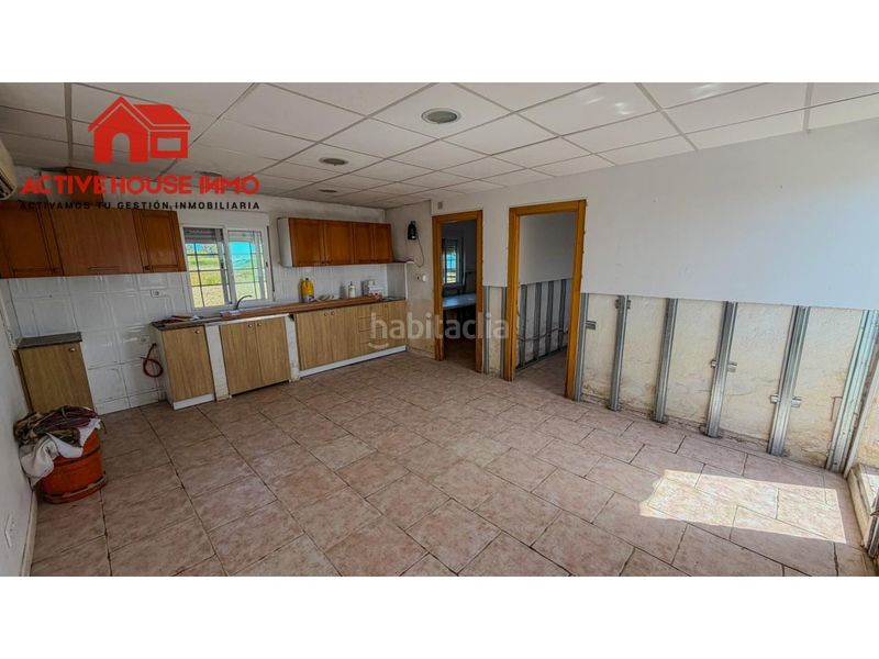 Foto b7fac9b3-5a24-4a45-9f45-7e4211e201b7. Masia a Eucaliptus - Poble Nou del Delta Amposta