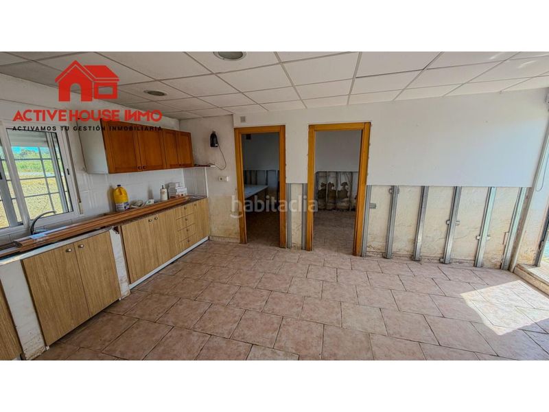 Foto bdeb2ec6-8520-4bc7-aad4-c14eb1d1f832. Masia a Eucaliptus - Poble Nou del Delta Amposta
