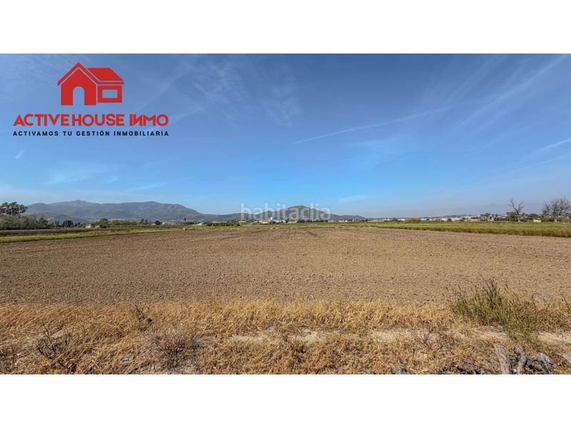 Foto c25338a3-b076-4d9a-942b-1d9640749c83. Masia a Eucaliptus - Poble Nou del Delta Amposta
