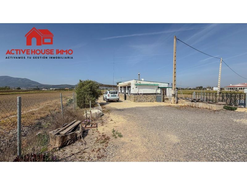 Foto e870ba10-7bd9-4d01-a9e2-1e814ddda7a4. Masia a Eucaliptus - Poble Nou del Delta Amposta