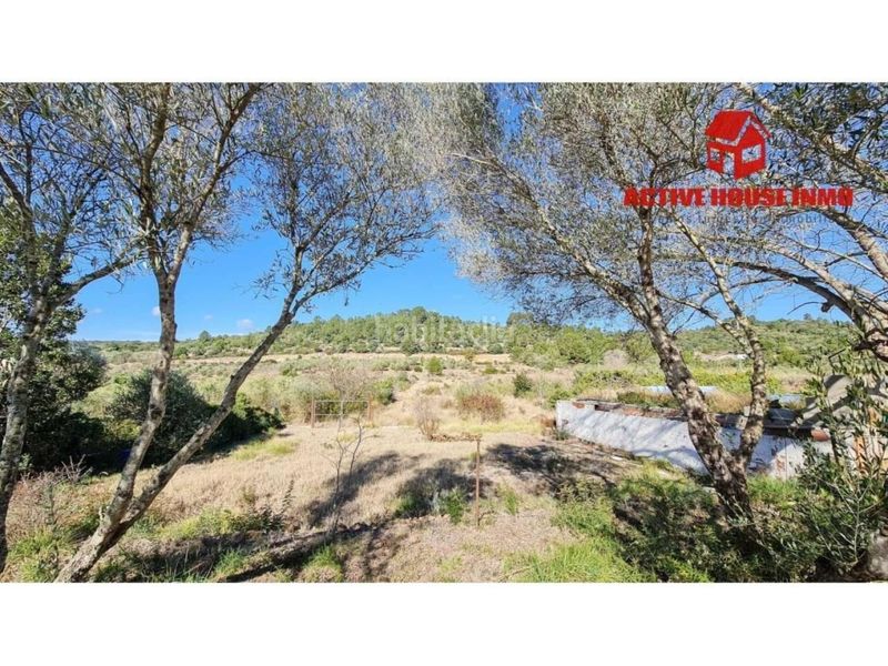 Foto ab8b8afd-8038-4f7e-a044-fef1fd3c8083. Masia a Freginals