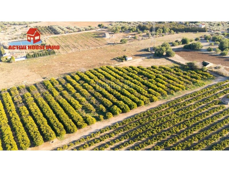 Foto 46f3977b-a3dc-493b-8299-07c1d9ec0f92. Finca rústica a Santa Bàrbara
