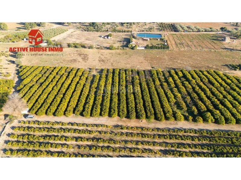 Foto 767a2fe6-9b66-420a-8c09-9c3e6d1167fb. Finca rústica a Santa Bàrbara